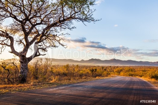 Bild på African Landscape
